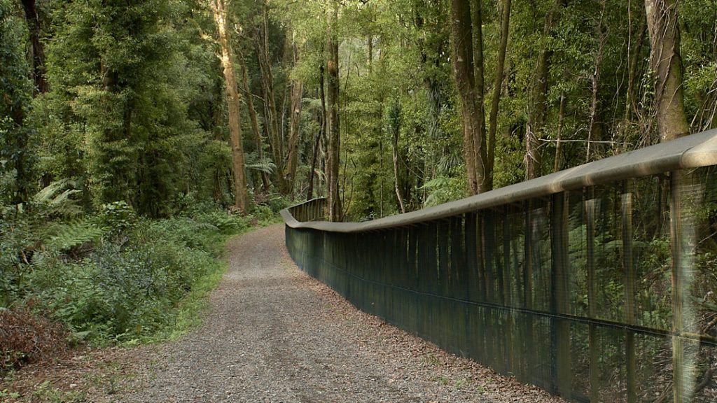 Maungatautari forest and pest fence